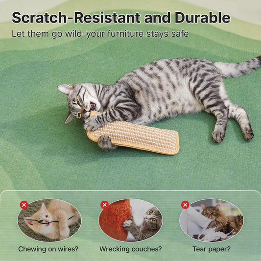 Interactive Catnip Chew Toy